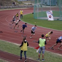 IMG 4251